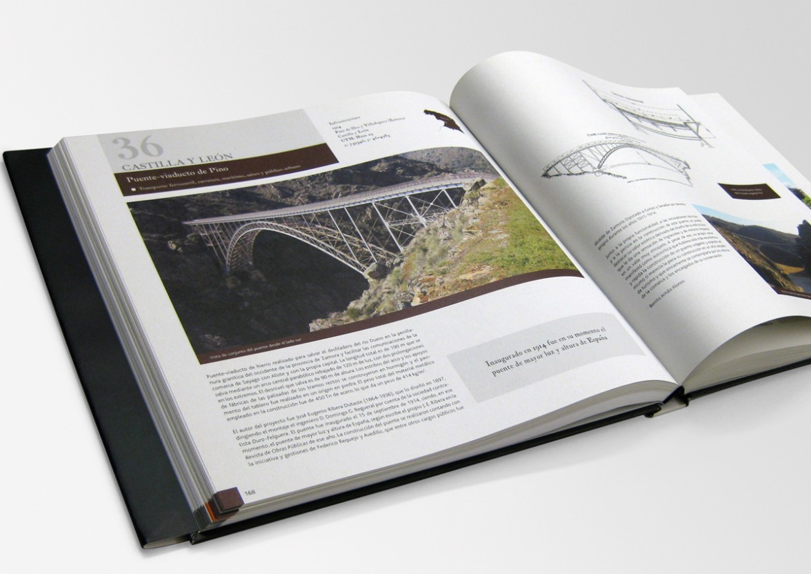 linea_grafico_ticcih_libro_3